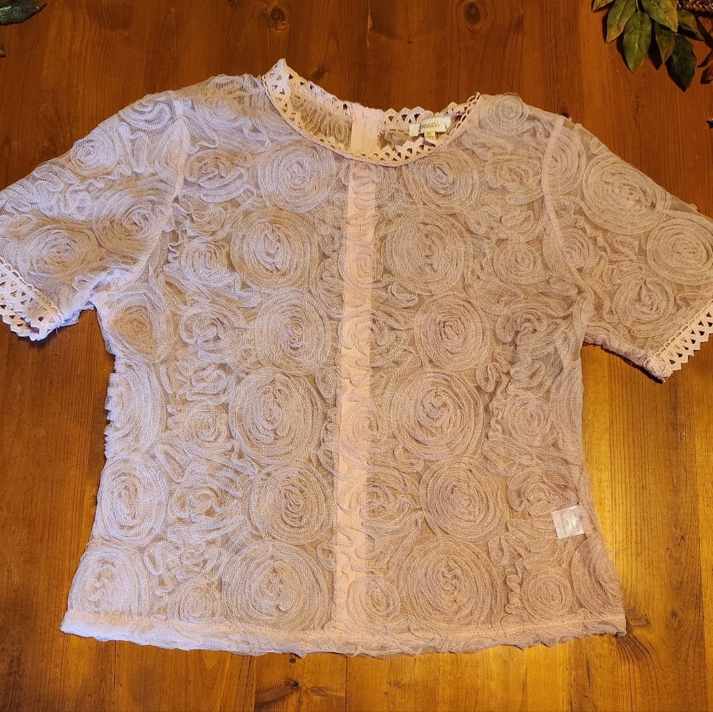 Blush Pink shear dressy top with full zipper back